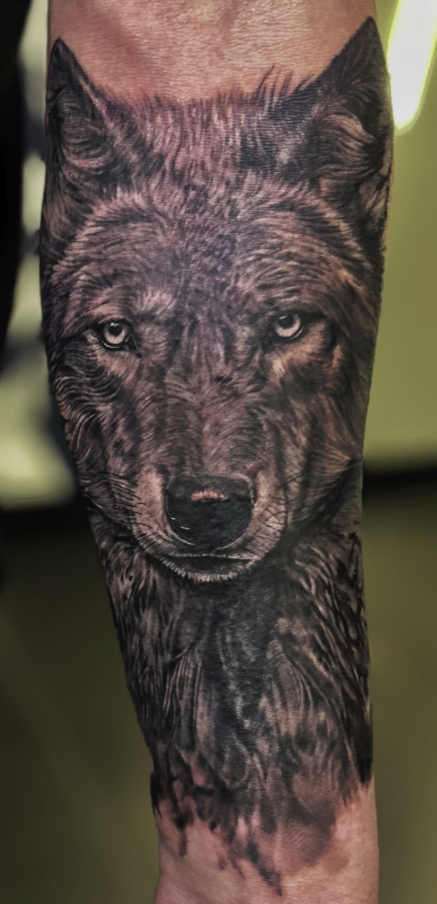 wolf